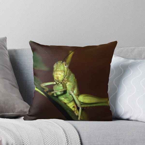 Item preview, The orthopteron designed and sold by andrachne.