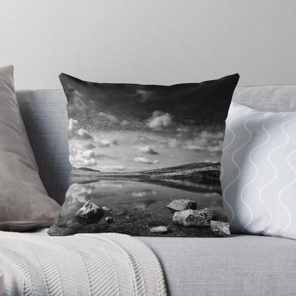 Dam Thing Throw Pillow