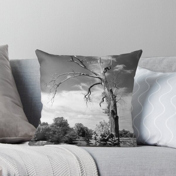 Item preview, Dead tree, black & white designed and sold by JudiLyn.