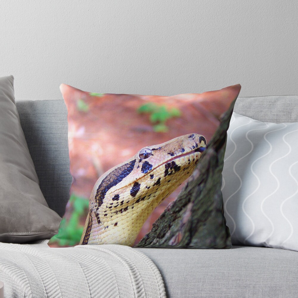 Item preview, Throw Pillow designed and sold by smlagrange.