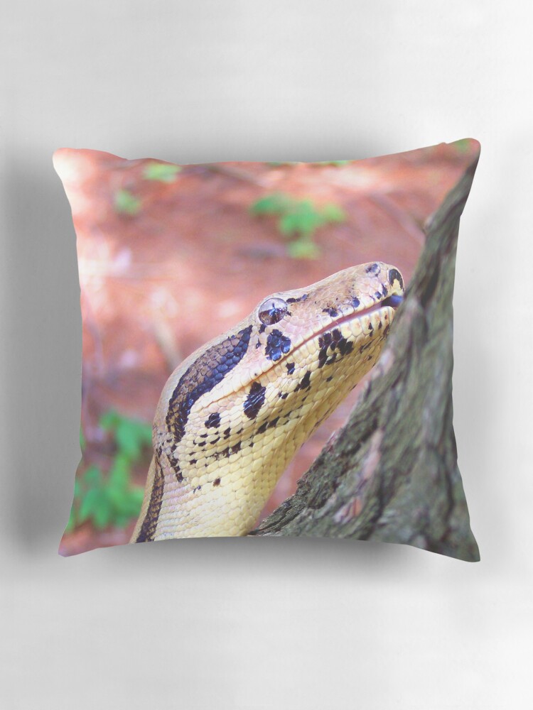 Thumbnail 3 of 4, Pillow, Lucifer designed and sold by smlagrange.