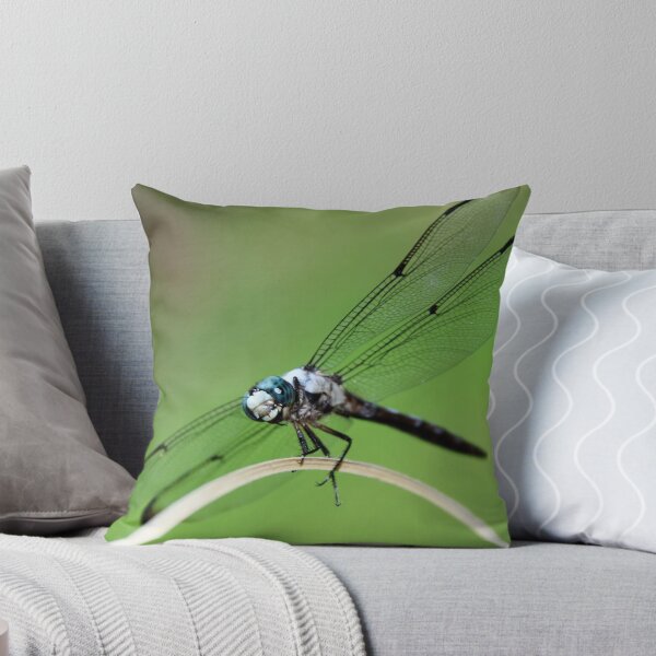 Dragonfly Smile Throw Pillow