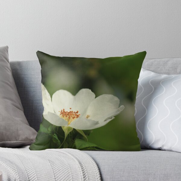 Artikelvorschau, White flower entworfen und verkauft von Deborah Durrant.
