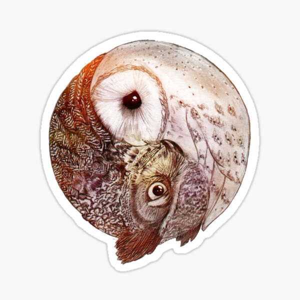 Yin Yang Owl Sticker