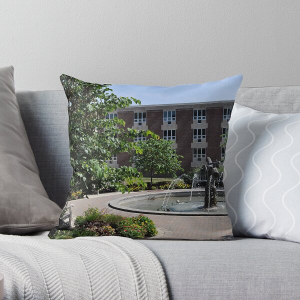 College Life Throw Pillow