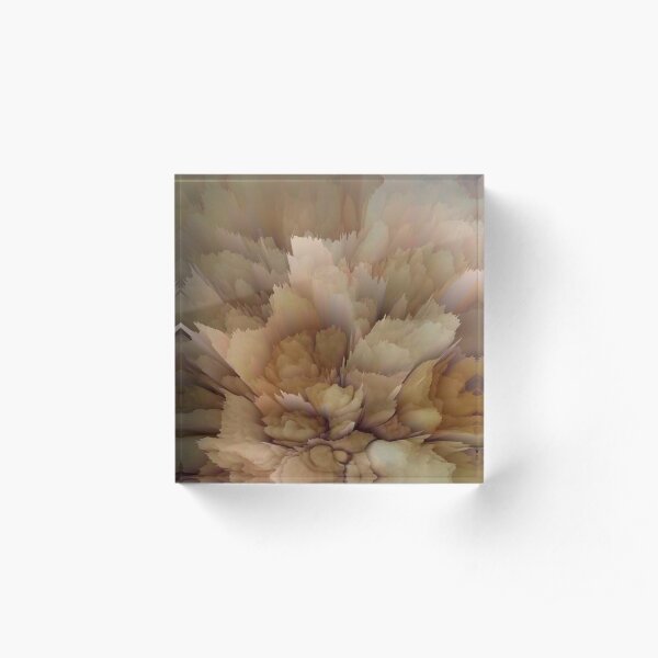 Crytal brown Acrylic Block