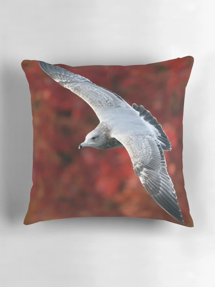 Thumbnail 3 of 4, Pillow, Fall Gull designed and sold by Randall Ingalls.