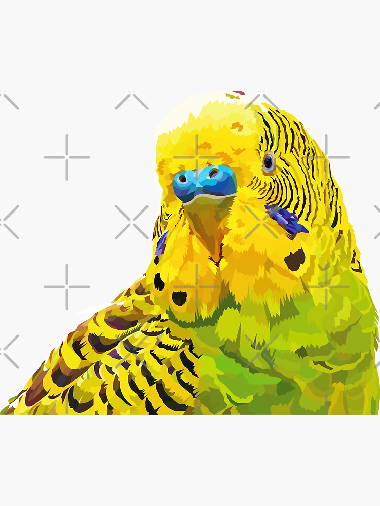 Yellow and Green Budgie Parakeet by Elviranl