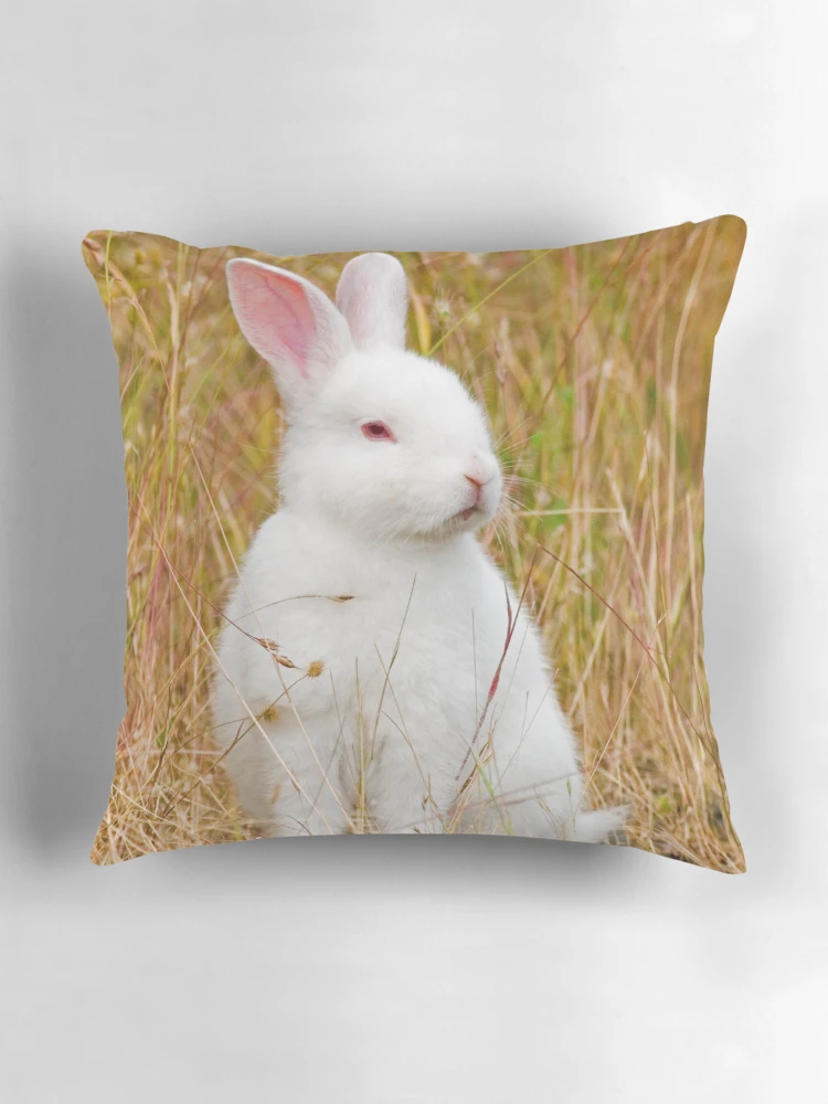 Thumbnail 3 of 4, Pillow, Bunny Rabbit designed and sold by Randall Ingalls.