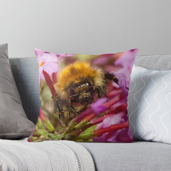 Item preview, Honey bee on a buddleia flower designed and sold by Shaun Whiteman.