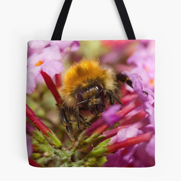 Item preview, Honey bee on a buddleia flower designed and sold by Shaun Whiteman.