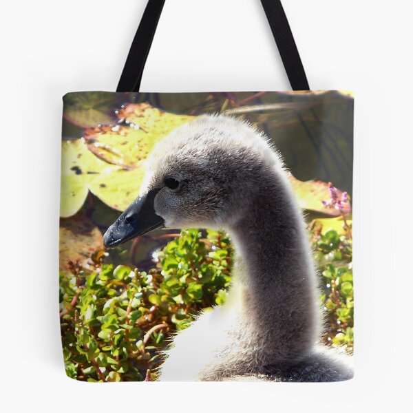 Item preview, Black Swan Cygnet designed and sold by stevealder.