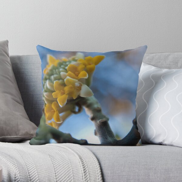 Warm and Fuzzy Throw Pillow