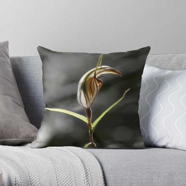 ~ Tai Chi ~ Throw Pillow