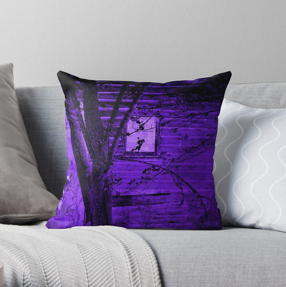 Abandoned Throw Pillow