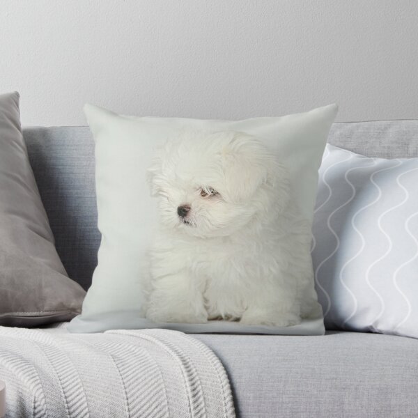Maltese Puppy Throw Pillow