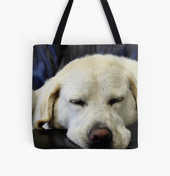 Cause Tote bag doublé