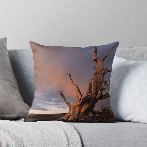 Item preview, Lone Bristlecone designed and sold by Chris Whitney.