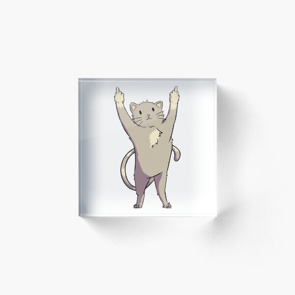 Cat with middle finger raising both hands flipping the world off Acrylic Block