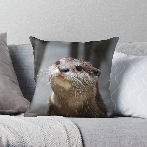 https://ih1.redbubble.net/image.797745989.3217/throwpillow,small,600x-bg,f8f8f8-c,0,120,600,600.jpg