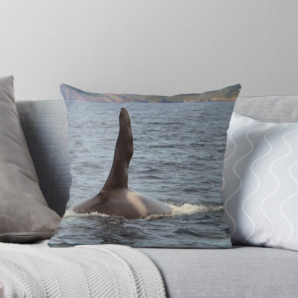Item preview, Male Orca.. designed and sold by DebYoung.