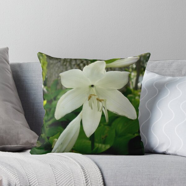 Item preview, Grand opening.... designed and sold by ThomHull.