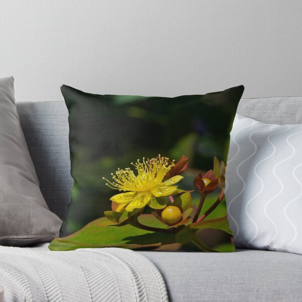 Item preview, Evening Primrose designed and sold by Phil Connor.