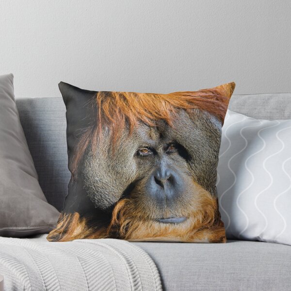 Item preview, Orangutan designed and sold by Randall Ingalls.