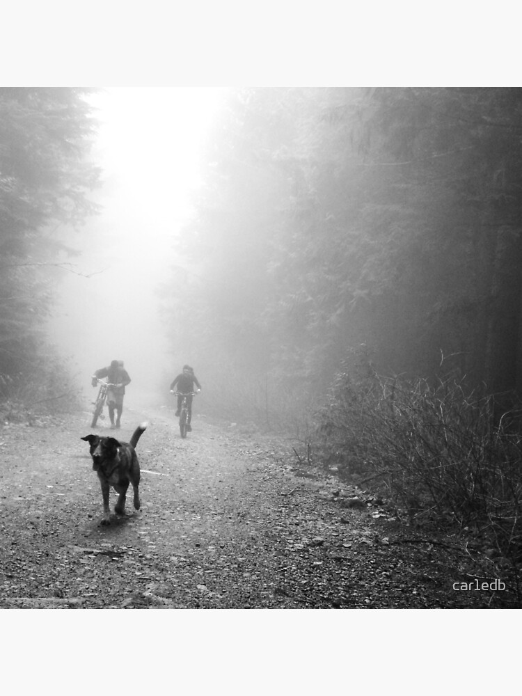 Thumbnail 2 of 2, Tote Bag, Fog Dog -Mt Fromme, winter ‘08 designed and sold by car1edb.