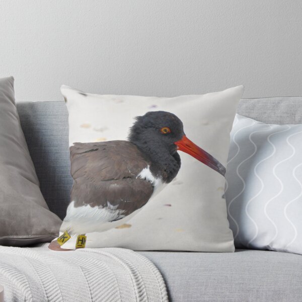 Item preview, American Oystercatcher designed and sold by Jeff Ore.