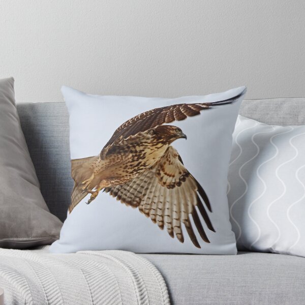 Item preview, Birthday Hawk designed and sold by Marvin Collins.