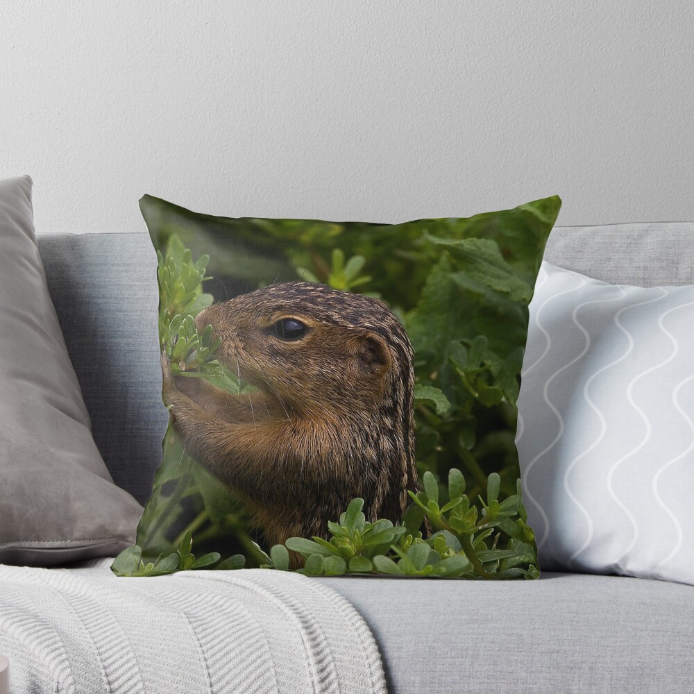 Aperçu de l'œuvre Coussin créée et vendue par BCogs.