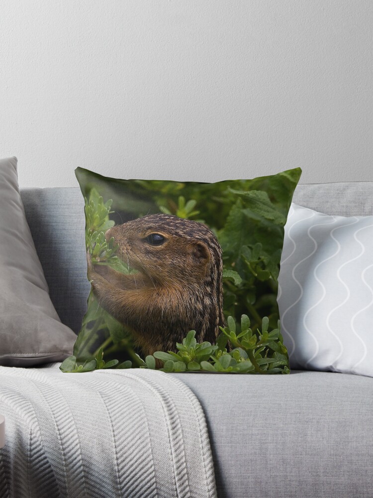 Thumbnail 1 of 4, Pillow, Lunch Time.. designed and sold by BCogs.