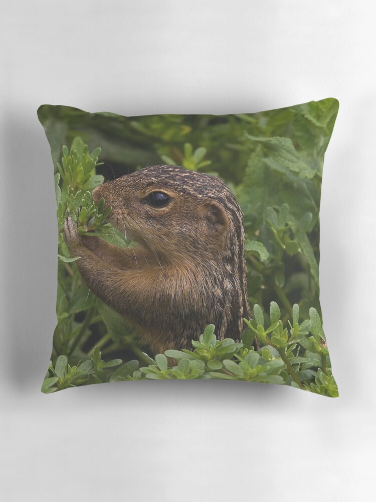 Thumbnail 3 of 4, Pillow, Lunch Time.. designed and sold by BCogs.