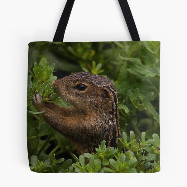 Item preview, Lunch Time.. designed and sold by Bill Coughlin.