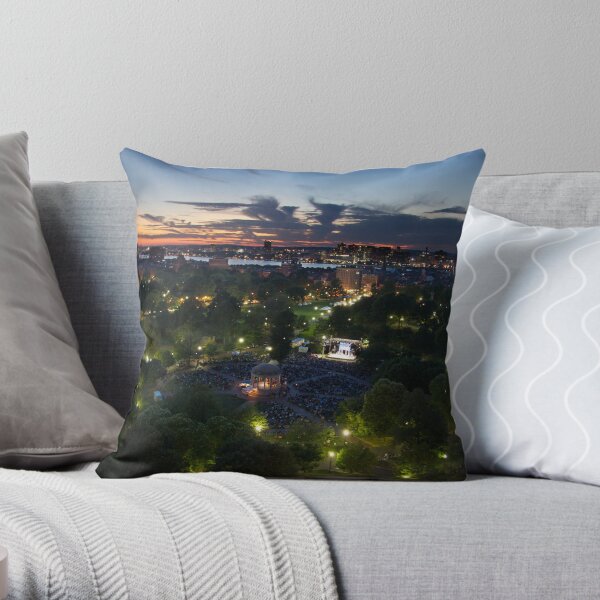 CSC Othello 2010 Throw Pillow