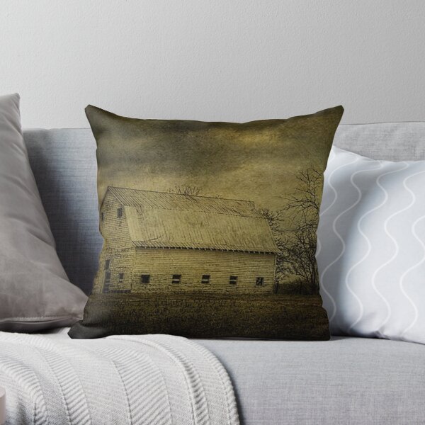 Not Afraid to Tell Her Age Throw Pillow