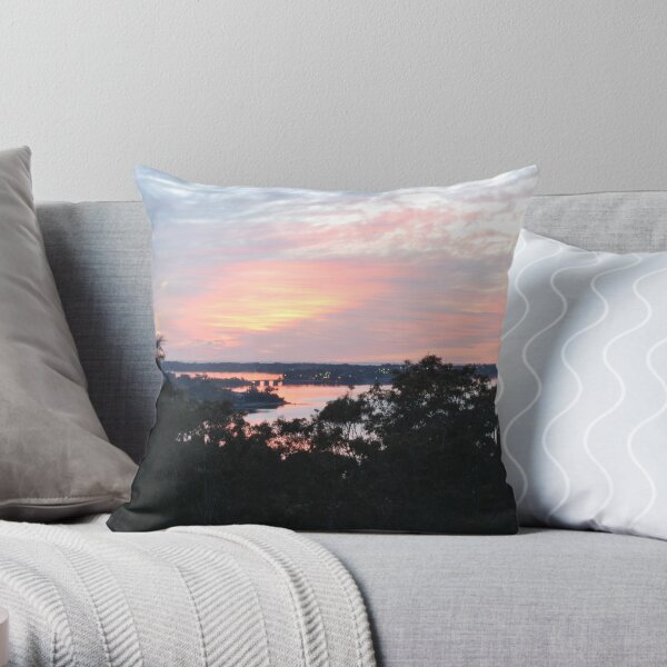 roof shot, Throw Pillow