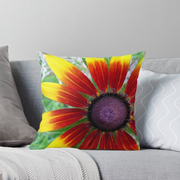 Item preview, Blackeyed Susan - "Becky Cinnamon Bi-color" variety designed and sold by Marcia Rubin.