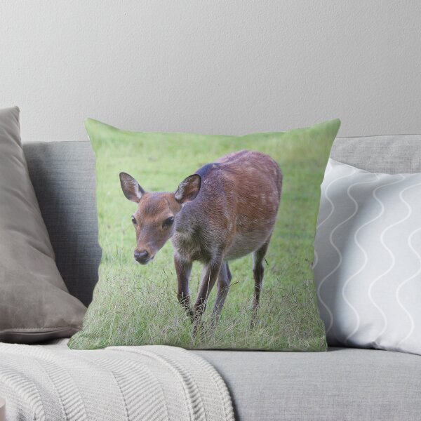 Item preview, Timid designed and sold by Paulette1021.