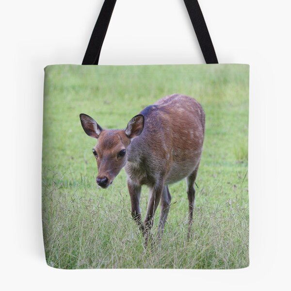 Item preview, Timid designed and sold by Paulette1021.