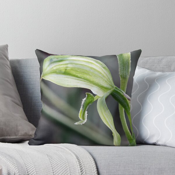 Item preview, Emerald Lip Greenhood. Pterostylis longifolia designed and sold by Cindy McDonald.