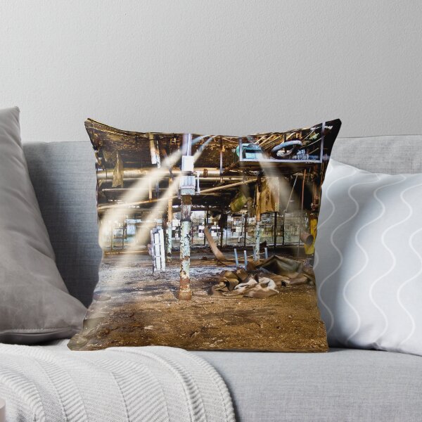 Item preview, Sun Ray's - Clearwater Finishing Plant designed and sold by Jonathan Covington.