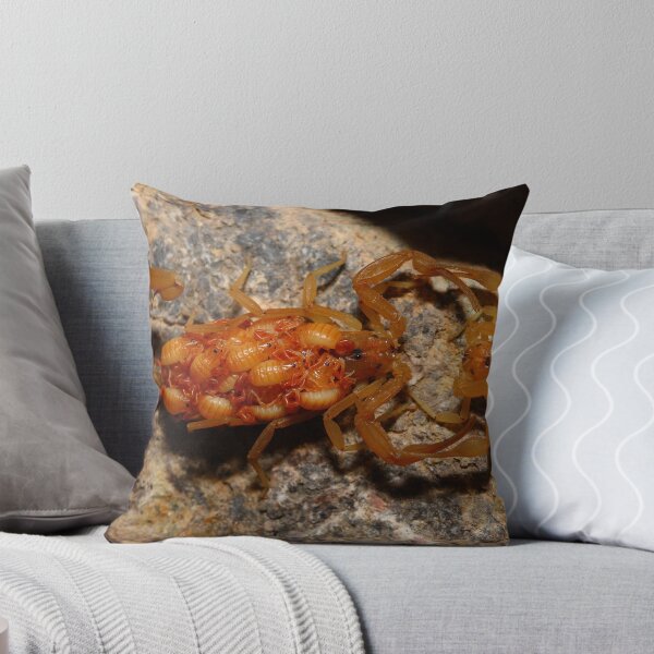Item preview, It takes two to tango... designed and sold by Bluecornstudios.