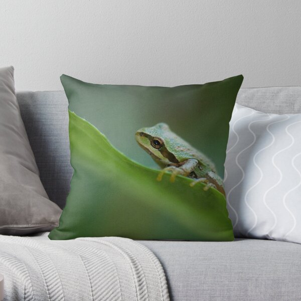 Frog on a Leaf Throw Pillow