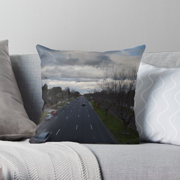 View from a Bridge Throw Pillow