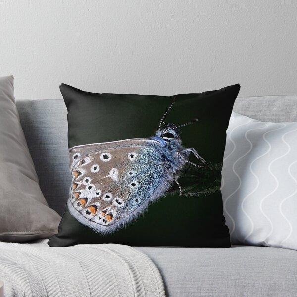 Item preview, Common Blue designed and sold by snapdecisions.