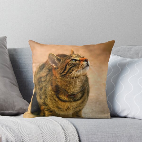 Item preview, Kitty Portrait designed and sold by Dragos Dumitrascu.
