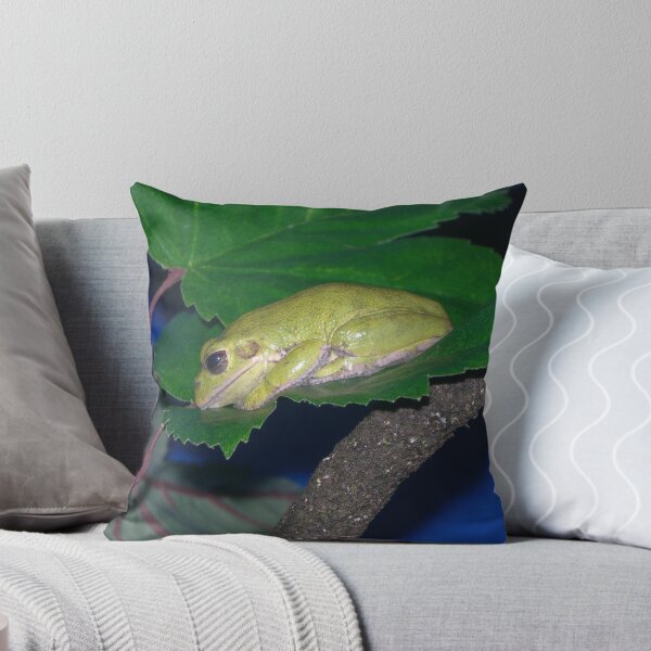 Item preview, Frog on a Leaf - Virginia Living History Museum designed and sold by Kim  Lambert.