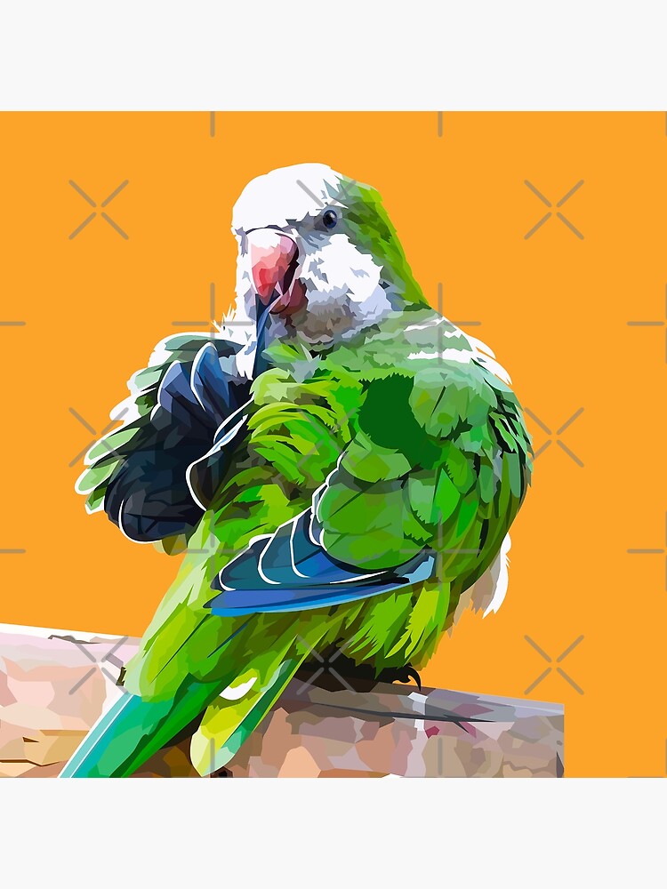 Green little parrot by Elviranl